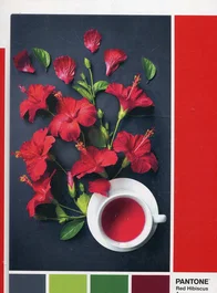 Clementoni Puzzle Pantone Baie de goji 1000 pièces