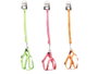 MASCOW Laisse réfléchissante 1,2 m Naranja, Rosa, Verde