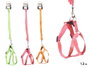 MASCOW Laisse réfléchissante 1,2 m Naranja, Rosa, Verde
