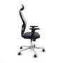 Piqueras y Crespo Chaise de Bureau 2D086G1 Gris foncé