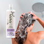 Anian Shampooing Antioxydant et Stimulant à l'Oignon et à la Biotine pour Cheveux Fragiles et en Chute - 400 ml