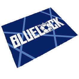 SD TOYS Felpudo Blue Lock Logo en fibre de coco 60 x 40 cm