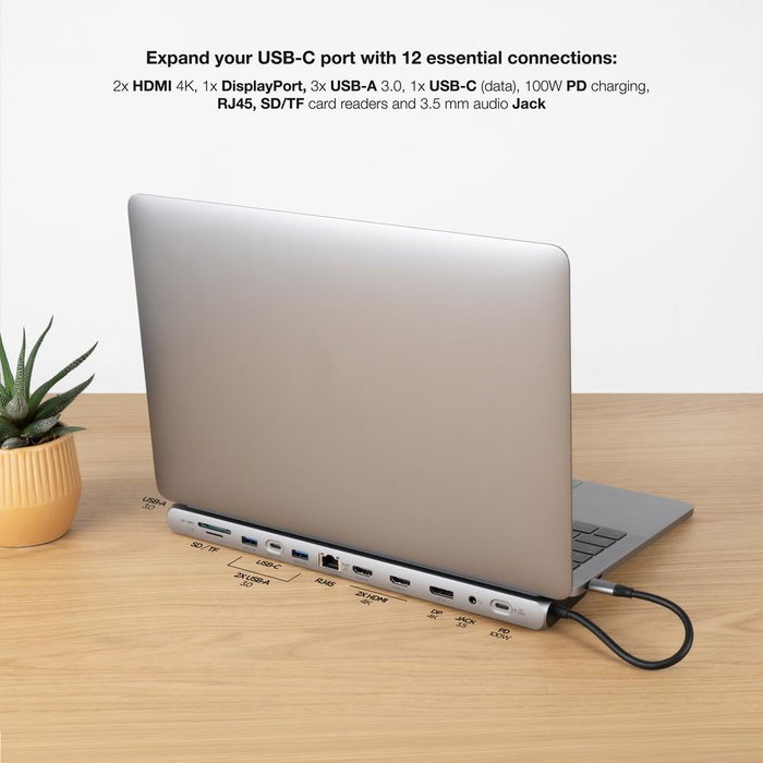 Doking Nanocable USB-C 3.1 Gris avec HDMI, DisplayPort, RJ45 et PD 100W
