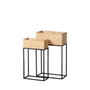 BigBuy Garden Set de 2 Cache-pots en Fer Noir Naturel