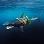 Playmobil Pirate et requin avec mâchoire articulée, 21 pièces