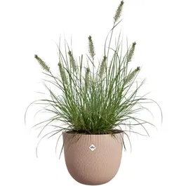 ELHO Sereh Pot de Fleurs Rond 30 - Marron - Ø 29.5 x H 25 cm - Plastique 100% Recyclé et Résistant au Gel - pour Jardin et Intérieur