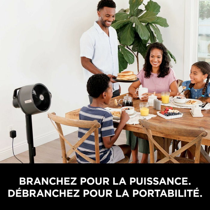Shark FlexBreeze Pro Mist FA300EU - Ventilateur brumisateur sur pied ou table