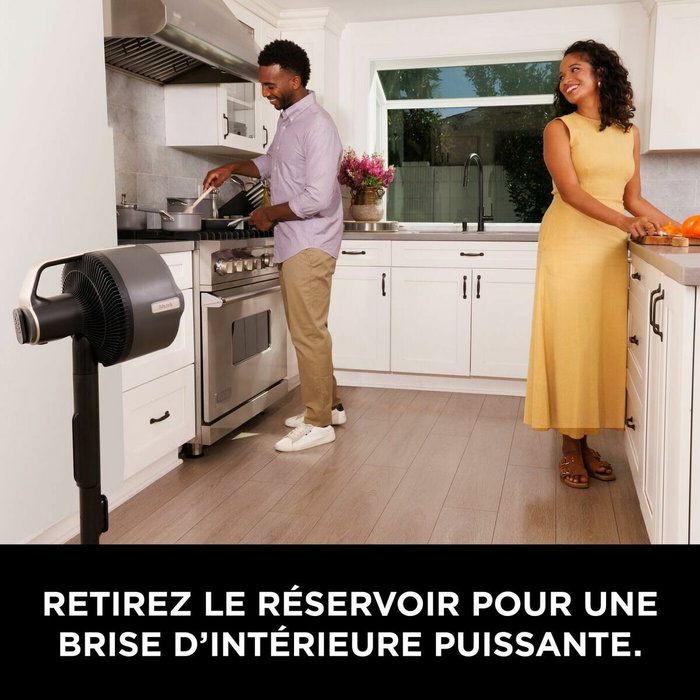 Shark FlexBreeze Pro Mist FA300EU - Ventilateur brumisateur sur pied ou table
