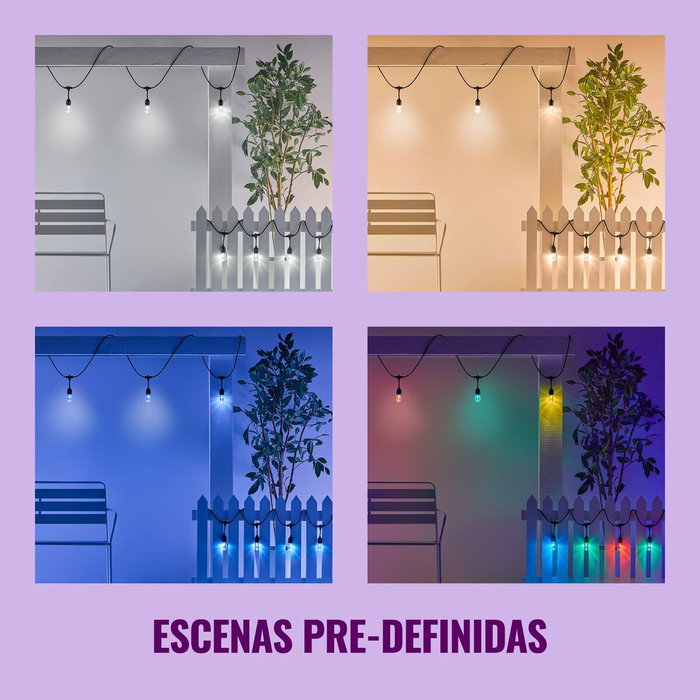 Wiz Guirlande Connectée Extérieure 15m - 12 Ampoules LED Multicolores