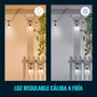 Wiz Guirlande Connectée Extérieure 15m - 12 Ampoules LED Multicolores