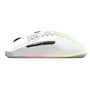 Souris Gaming SteelSeries Aerox 3 Wireless