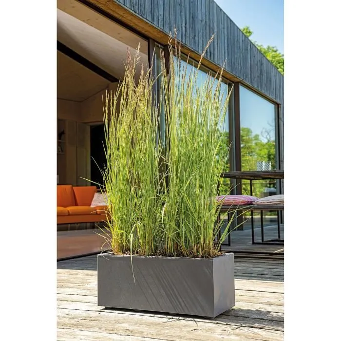 Deroma Jardinière Muret Millennium R avec Réserve d'Eau 59x25xH25 cm Anthracite en Matière Recyclée Résistante au Gel et aux UV Volume 26 L