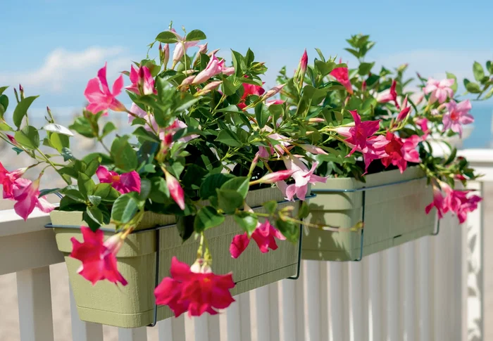 Stefanplast ETHICA - Balconnière rectangulaire 50 cm, 9 L, finition craie - Pour balcon, style minimaliste et lumineux