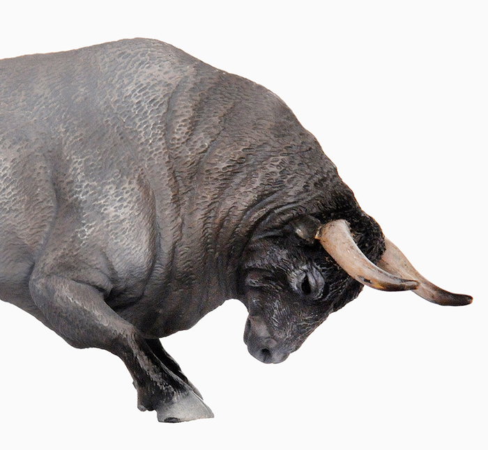 DEQUBE Toro bravo Cárdeno embistiendo