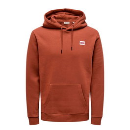 Sweat à capuche homme Only & Sons Onsdawson Reg Hoodie Vd Marron