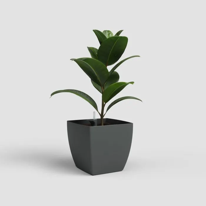 Artevasi Pot de fleurs avec pieds Siena SWS 30 MA, pour intérieur et extérieur, en plastique résistant aux UV, Ø30 x H27 cm (17,5 L), couleur gris anthracite Artevasi Pot de fleurs avec pieds Siena SWS 30 MA, pour intérieur et extérieur, en plastique résistant aux UV, Ø30 x H27 cm (17,5 L), couleur gris anthracite
