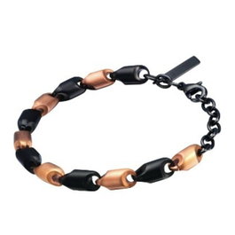 Police PJ22647BSR.04 en acier inoxydable noir