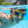 Bestway 21074 Lunettes de Natation Enfant Corne Silicone Set 3 Pièces +3 Ans Plage et Piscine