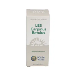 FORZA VITALE LES CARPINUS BETULLUS