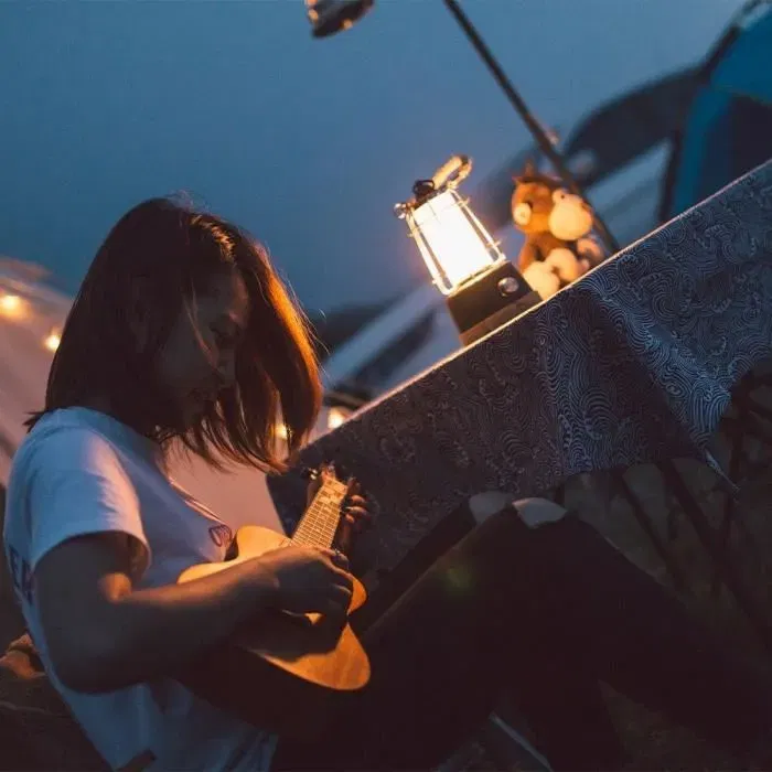 Lumisky Lanterne LED Sans Fil WILDY, Blanc Chaud Dimmable 300 Lumens 6h Autonomie, Anse Corde, Hauteur 23 cm pour Intérieur et Extérieur