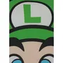 Mario Bros - Coussin décoratif double face carré Microfibre 40x40 cm - Mario et Luigi - Motif Super Mario