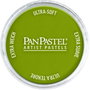 Panpastel 680.3 Jaune Brillant Ombre Verte