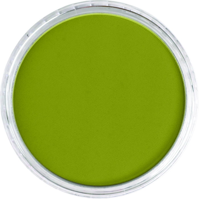 Panpastel 680.3 Jaune Brillant Ombre Verte