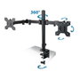 Esperanza Support de table d'écran ERW018 27 pouces