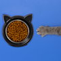 The Concept Factory Bol en forme de tête de chat de 14 cm