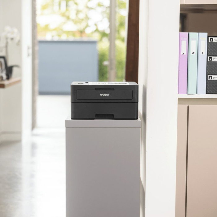 Imprimante laser Brother HL-L2460DN