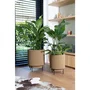 Capi Europe Vase cylindre Groove NL 44 x 46 cm Beige