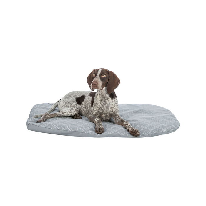 Lit pour chien Trixie Jessie Blanc Gris 80 x 60 cm