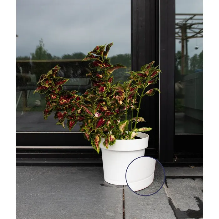 GARDEN ID Pot de fleurs avec réserve d'eau rond blanc, diamètre 50 cm, 47 litres, hauteur 43 cm, pour intérieur et extérieur GARDEN ID Pot de fleurs avec réserve d'eau rond blanc, diamètre 50 cm, 47 litres, hauteur 43 cm, pour intérieur et extérieur