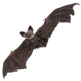 My Other Me Murciélago Colgante Chauve-souris Suspendu 65 x 24 x 6 cm