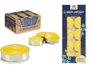 Ibergarden Lot de 10 bougies chauffe-plat Citronnelle 7.5x19x1.5 cm (Set de 96)