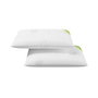 Nalui Lot de 2 Oreillers en Copeaux d'Aloe Vera 70 cm