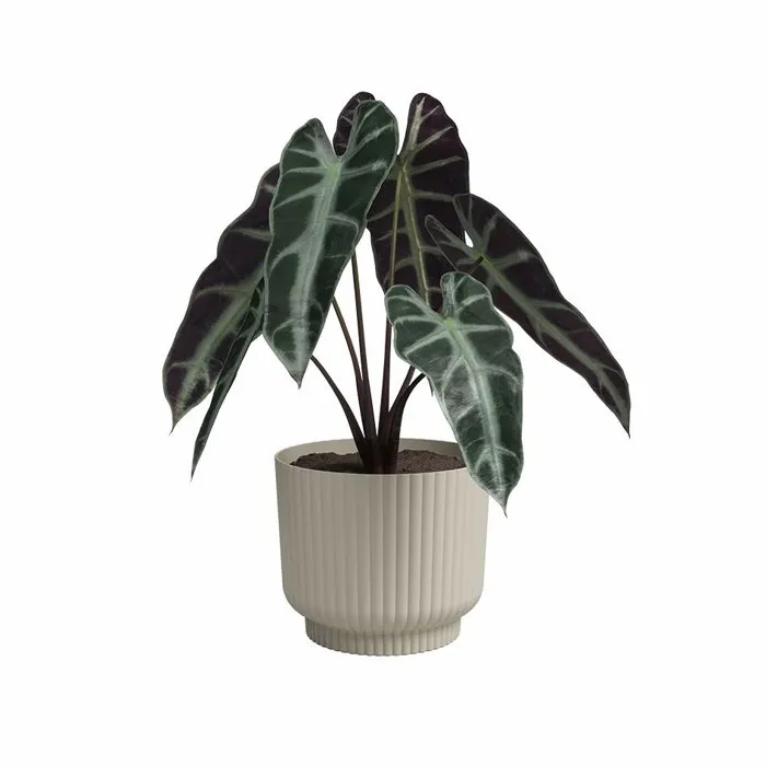 Artevasi Pot de fleurs Miami Wavy - 30 cm - Creme - Volume 13 L - Dimensions 29.7 x 29.7 x 25.1 cm