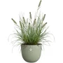 ELHO Sereh Autour 60 - Pot de fleur rond vert Ø 59 x H 51 cm, 110 L - Intérieur et extérieur