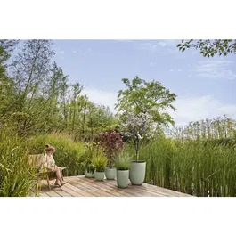 ELHO Sereh Autour 60 - Pot de fleur rond vert Ø 59 x H 51 cm, 110 L - Intérieur et extérieur