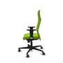 Piqueras Y Crespo Fauteuil Albacete, Similicuir Pistache, Mécanisme Synchrone, Accoudoirs 1D