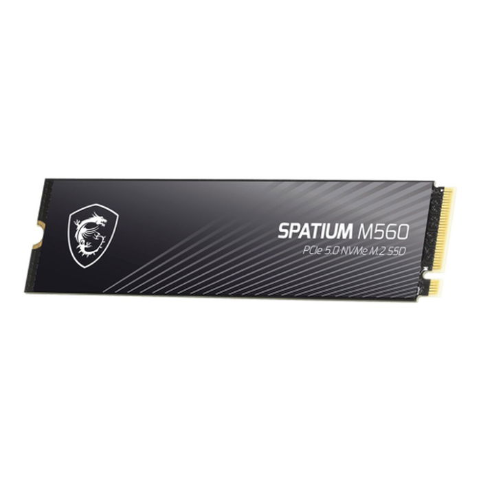 Disque dur MSI SPATIUM M560 PCIE 5.0 NVME M.2 2TB 2 TB SSD Disque dur MSI SPATIUM M560 PCIE 5.0 NVME M.2 2TB 2 TB SSD