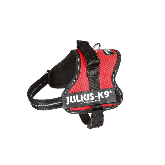 Harnais pour Chien Julius K9 Power Rouge S