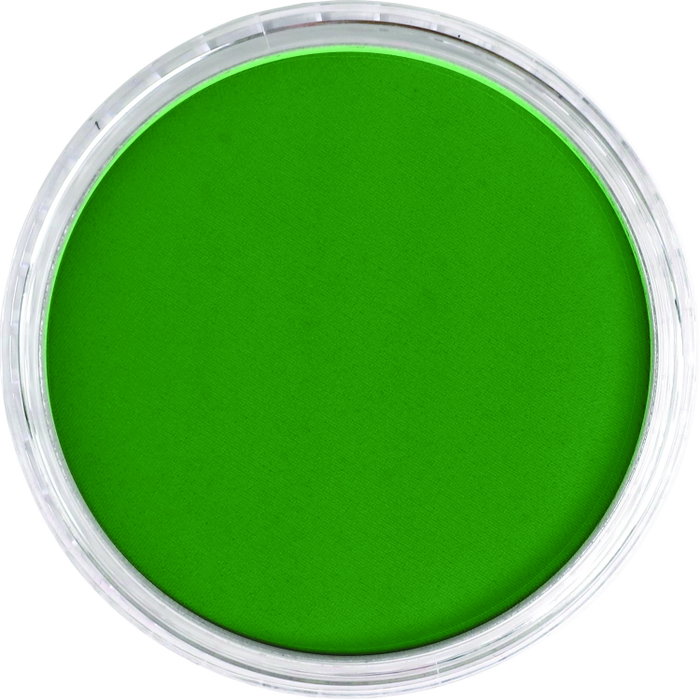 Panpastel 640.3 Permanent Green Shade Panpastel 640.3 Permanent Green Shade
