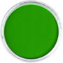 Panpastel 640.3 Permanent Green Shade