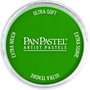 Panpastel 640.3 Permanent Green Shade