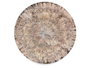 Vessia Assiette Plate Porcelaine Marron Motif Explosion 26,5 cm (Set de 24)