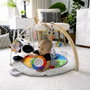 Baby Einstein Tapis d'éveil Zen the Zebra avec arche en bois