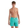 Maillot de bain homme O'Neill Eau
