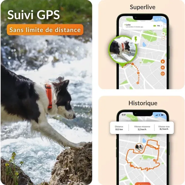 WEENECT Traceur GPS Chien XT, Antenne XL, Etanche, pour Chien sans Collier, Suivi Temps Réel avec Carte SIM Multi-Réseaux, Alerte Sonore, LED, Éducation au Rappel, Abonnement Requis