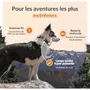 WEENECT Traceur GPS Chien XT, Antenne XL, Etanche, pour Chien sans Collier, Suivi Temps Réel avec Carte SIM Multi-Réseaux, Alerte Sonore, LED, Éducation au Rappel, Abonnement Requis